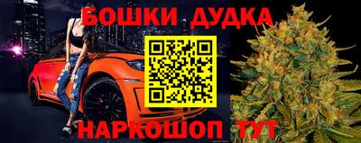 амф Обь