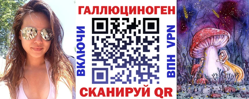 что такое   Нальчик  Галлюциногенные грибы прущие грибы 