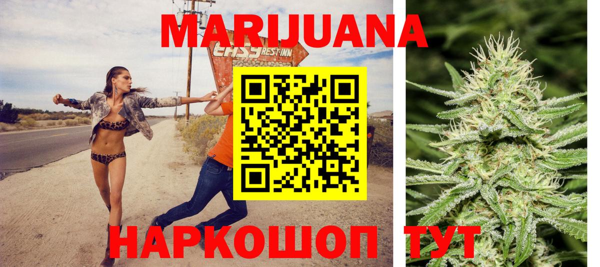 Каннабис сатива Нальчик